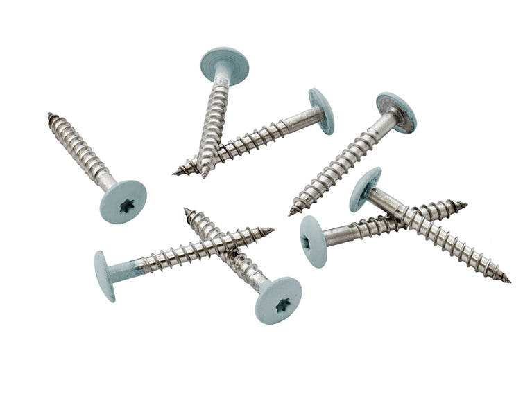 39mm Stainless Steel Screw + Bit Blue