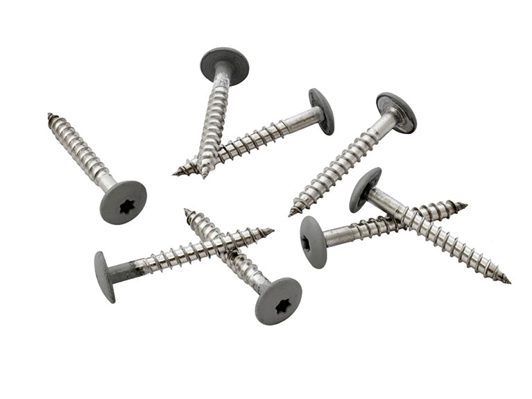 39mm Stainless Steel Screw + Bit