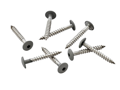 39mm Stainless Steel Screw + Bit 