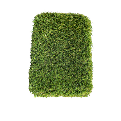 Paws 30 Artificial Grass