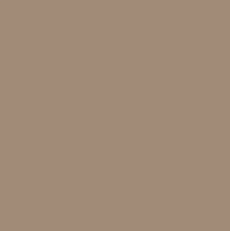 Grey Beige RAL1019