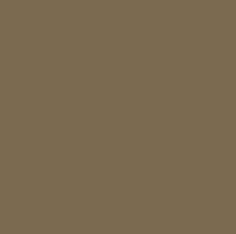 Khaki Grey RAL7008