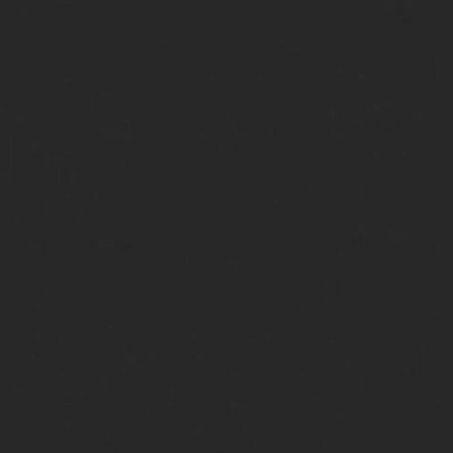 Black RAL9005