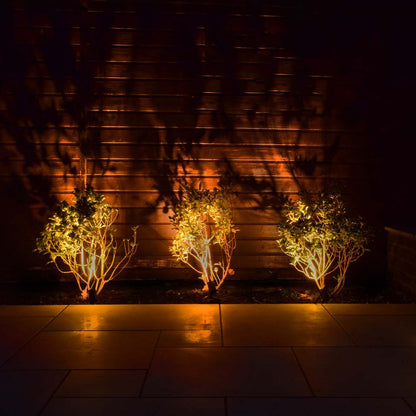 ELLUMIÈRE Black Outdoor Low Voltage LED Small Spotlight 2W