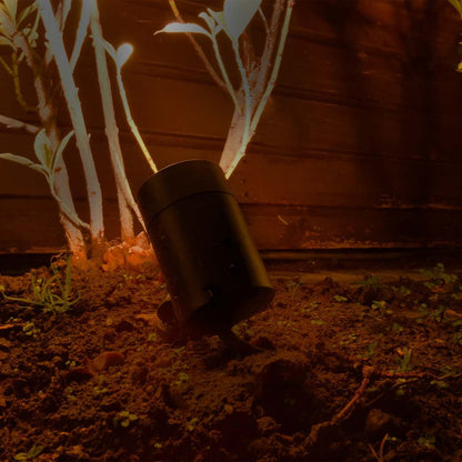 ELLUMIÈRE Small Black Spot Light Starter Kit 4 Pack